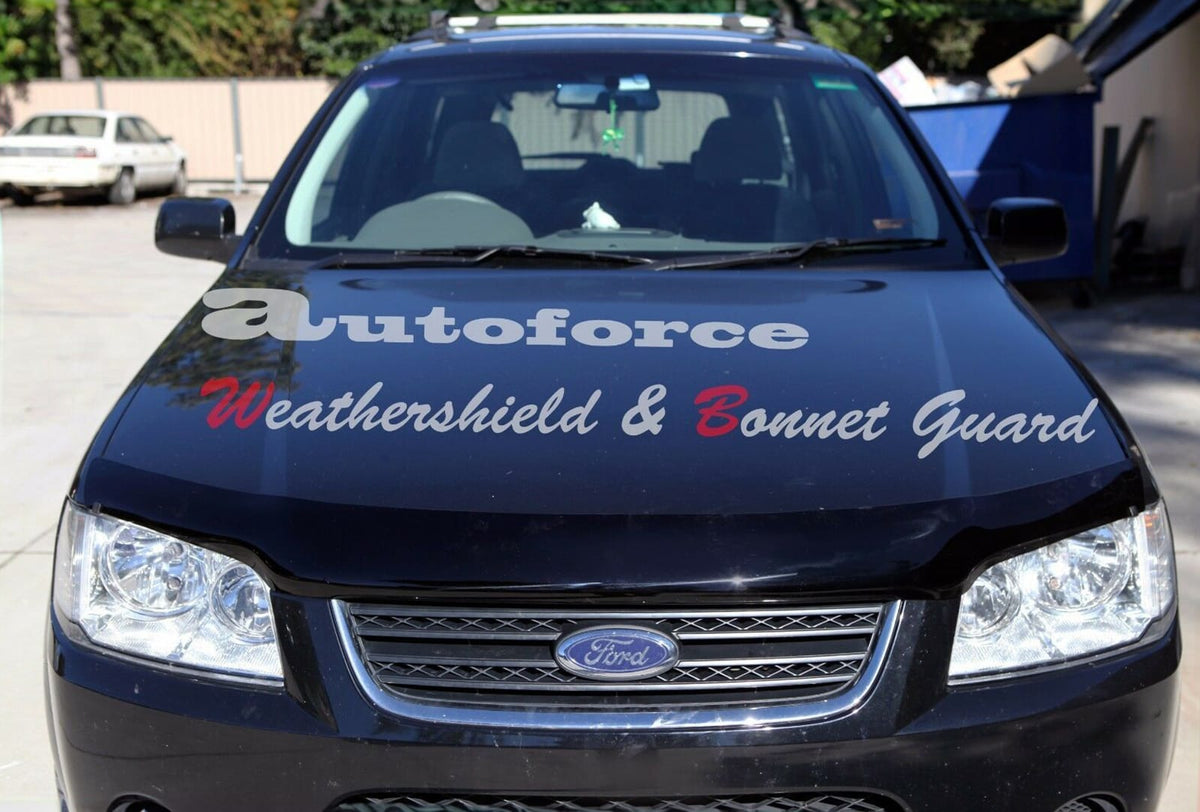 Installed View - Ford Territory SX SY (2004-2011): Bonnet Protector Guard