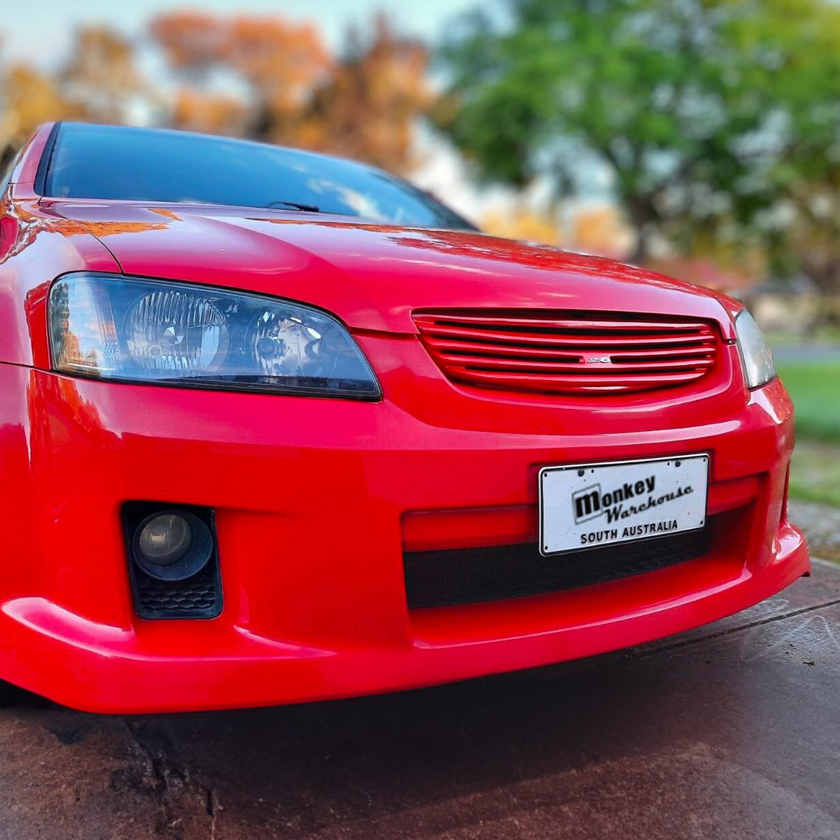 Installed View - Holden Commodore VE Series 1: Group 3 Front Grille