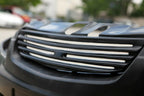 Installed View - Holden Commodore VE Series 1: Group 3 Front Grille